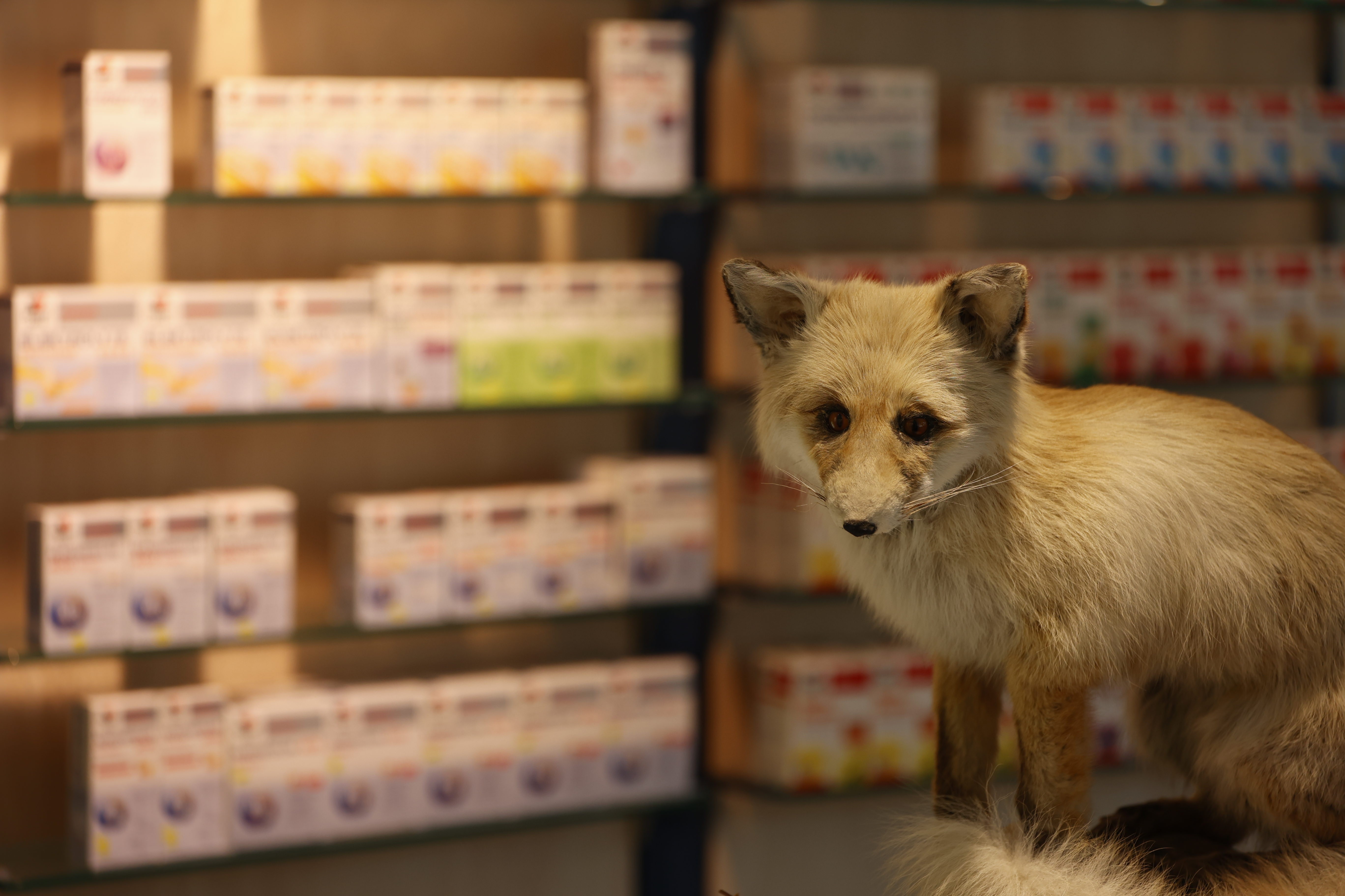 Jubiläum / Unterstützung von Vereinen